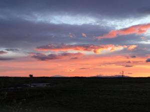 Álftártunga Farm Guesthouse