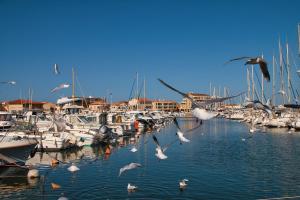 Appartements Chez Jo & Caro : photos des chambres