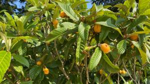 B&B / Chambres d'hotes Villa San Marco chambre d hotes : photos des chambres