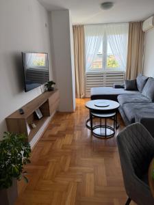 DarViva Apartment Niš, center, private garage parking, river view