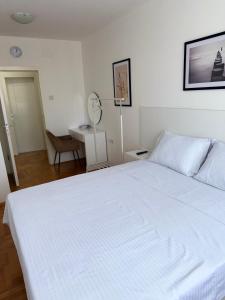 DarViva Apartment Niš, center, private garage parking, river view