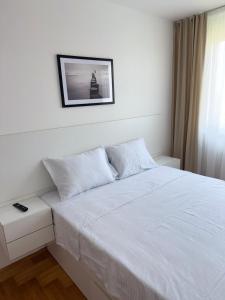 DarViva Apartment Niš, center, private garage parking, river view