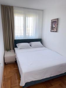 DarViva Apartment Niš, center, private garage parking, river view