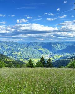 Apartment Boris Sveta Planina