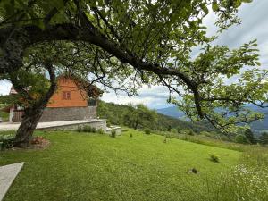 Apartment Boris Sveta Planina
