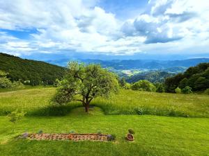 Apartment Boris Sveta Planina 