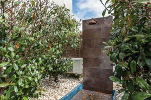 Porto Inlapa Studio RC