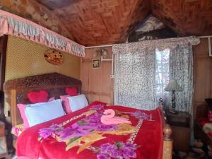 Houseboat young Minar