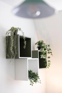 Appartements MonSejourCosy - Le Cottage - Studio - Cosy - Netflix : photos des chambres