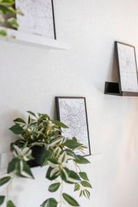 Appartements MonSejourCosy - Le Cottage - Studio - Cosy - Netflix : photos des chambres