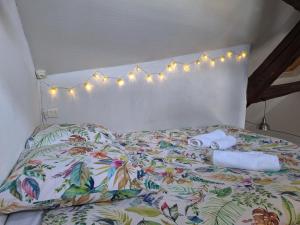 Appartements Bords de Loire - Climatise - 4 personnes - Hypercentre Orleans : photos des chambres