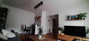 Apartman za najam za potrebe koncerta MP Thompsona