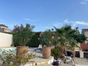 Maisons de vacances Maison mediterraneenne 130m piscine Vaucluse : photos des chambres