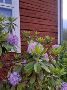 Traditional Swedish loghouse