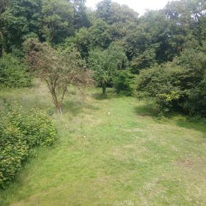 Appartement au cœur de la forêt