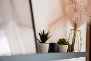 Appartment - Joile Maisone img28