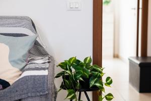 Appartment - Joile Maisone img39