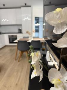 Apartament Centro z bezpłatnym garażem
