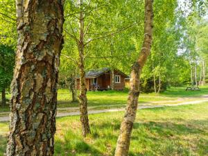 Surf Domki Habenda z sauną ogrodową
