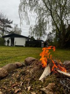 Summer house on falster