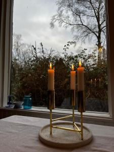 Summer house on falster