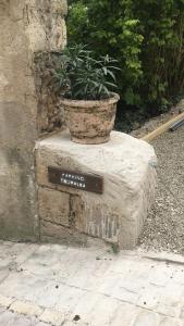 Barque Fleurie avec jardin