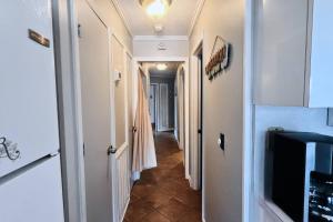 Turtles & Dolphins & Crabs, Oh My!