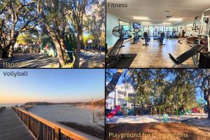 Turtles & Dolphins & Crabs, Oh My!