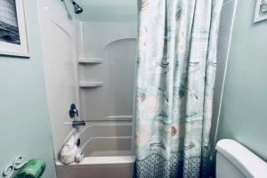 Turtles & Dolphins & Crabs, Oh My!