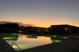 Turtles & Dolphins & Crabs, Oh My!