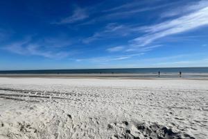 Turtles & Dolphins & Crabs, Oh My!