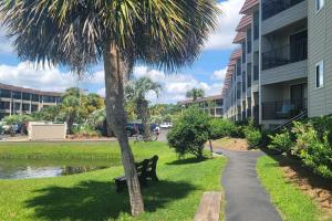 King Size & Sunrises