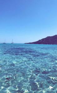 Appartements T2-terrasse coup de coeur : photos des chambres