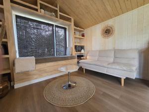 Tiny House Drents-Friese Wold