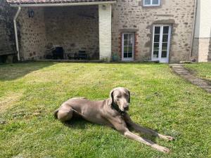 Maisons de vacances Le Cordonnier d-Autrefois - 15 minutes du Puy du Fou : photos des chambres