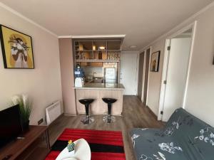 Acogedor departamento en Santiago