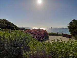 La rochelle PORT DES MINIMES