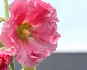 Art-hill - Ettelghem