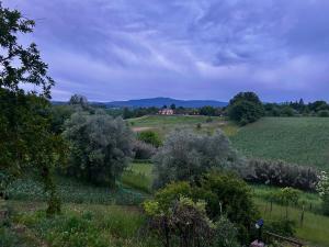 Blackland- Shabby Tuscany House