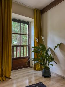 Maisons d'hotes Maison Belles Pierres : photos des chambres