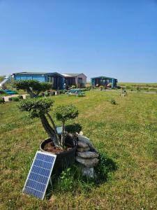 Mar a Lago Glamping23