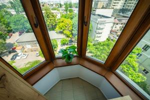 Deluxe Designer Studio - Near to Alba Iulia Square