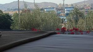 "Naias"seaside residence in the port of Piraeus-entire holiday home