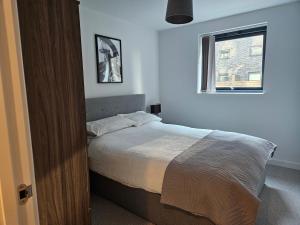 Luxury City Centre Apartment