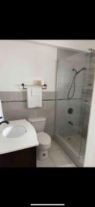 oasis 1 bedroom Kensington cres