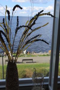 Ranta-Tampellan Helmi