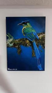 Apartaestudio Barranquero Centro