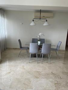 Amplio y acogedor apto céntrico de 3 habitaciones