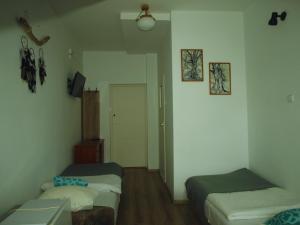 Zibi i Pod Topolami