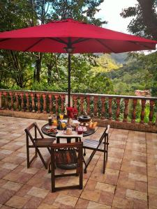 Chalé vista para Mata Itaipava